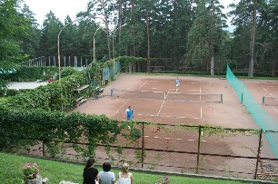 IMG_8395.jpg