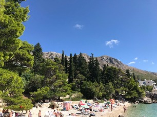 2017-09-14 12-30-05.jpg
