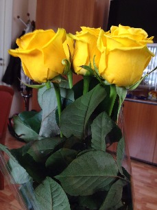 2016-03-04 13-41-15.jpg