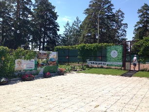 web2015-06-12-12-56-16.jpg