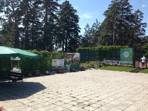 2015-06-12 12-57-17.jpg