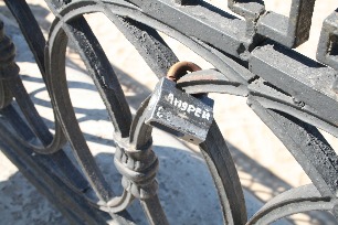 IMG_9813.jpg